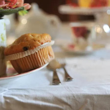 Ai Cedri Bed and Breakfast